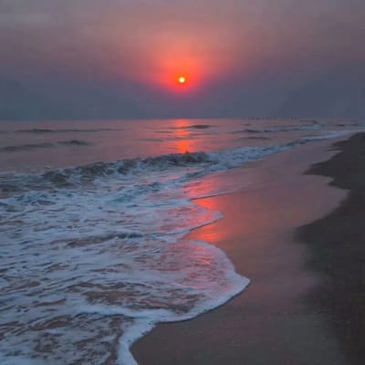 Marsinah Putri avatar